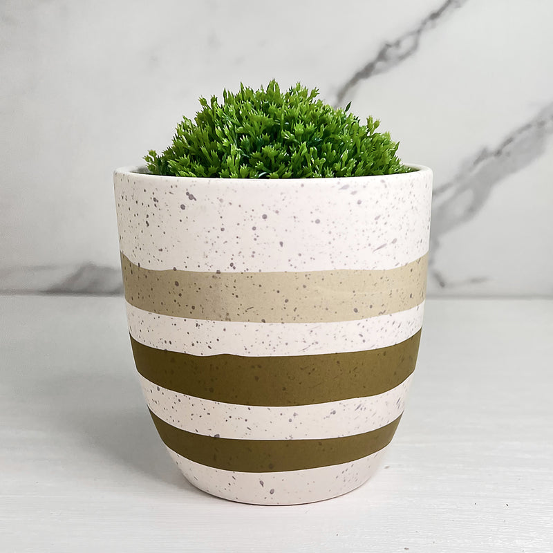 Contort Ceramic Planter & Pot 11.5cm