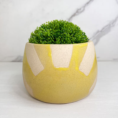 Sunrise Ceramic Planter & Pot 14cm Style A