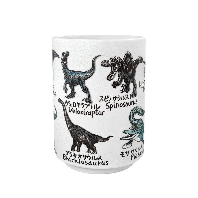Japanese Ceramic Tea Cup Dinosaurs 350ml