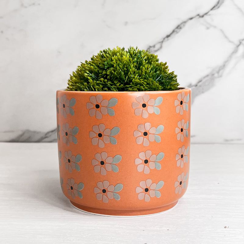 Aster Ceramic Planter & Pot 14cm