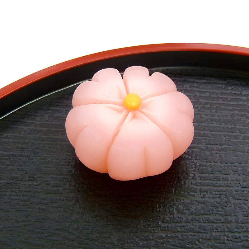 Japanese Confectionery Magnets Sakura