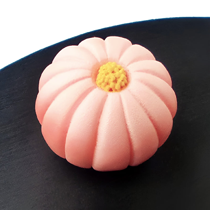 Japanese Confectionery Magnets Chrysanthemum