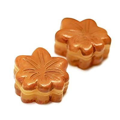 Japanese Confectionery Magnets Maple Bun