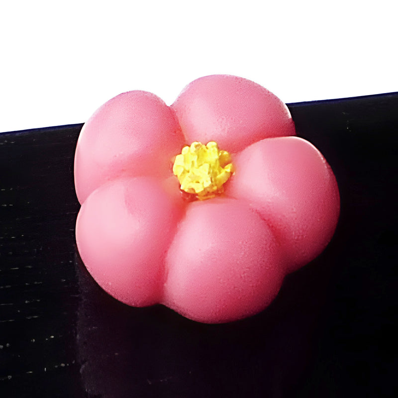 Japanese Confectionery Magnets Plum Bossom