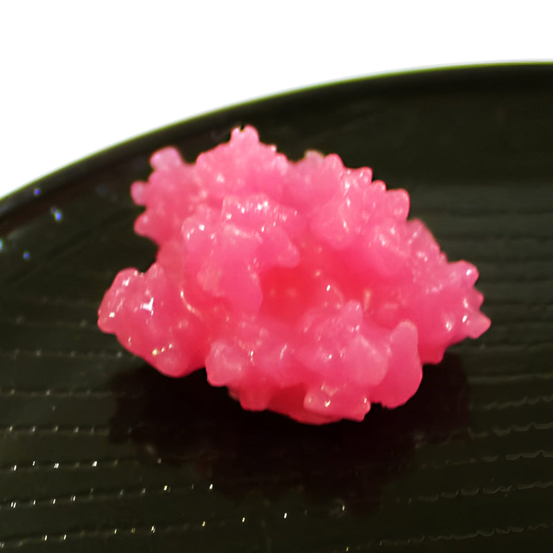 Japanese Confectionery Magnets Konpeito
