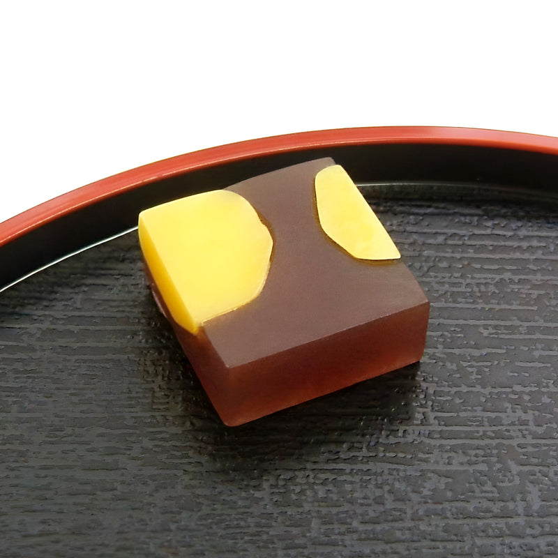 Japanese Confectionery Magnets Chestnut Yokan