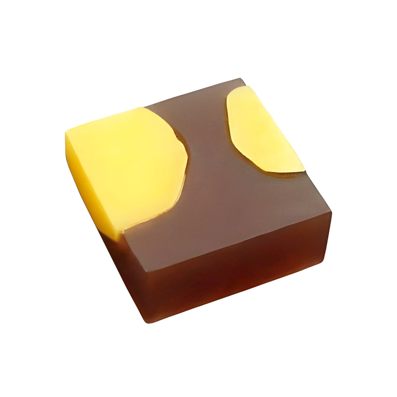 Japanese Confectionery Magnets Chestnut Yokan